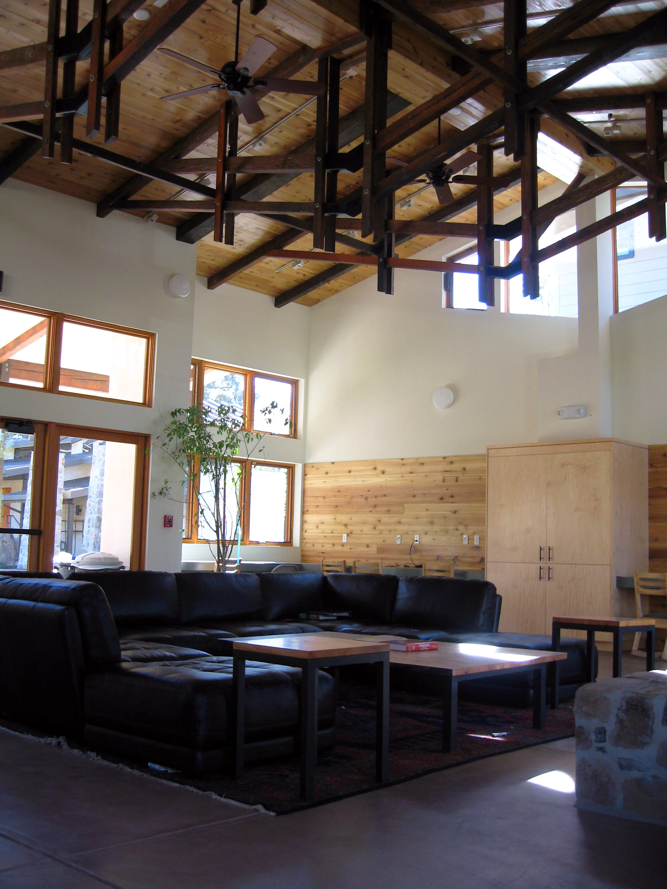 撒切尔宿舍丨美国加利福尼亚-50