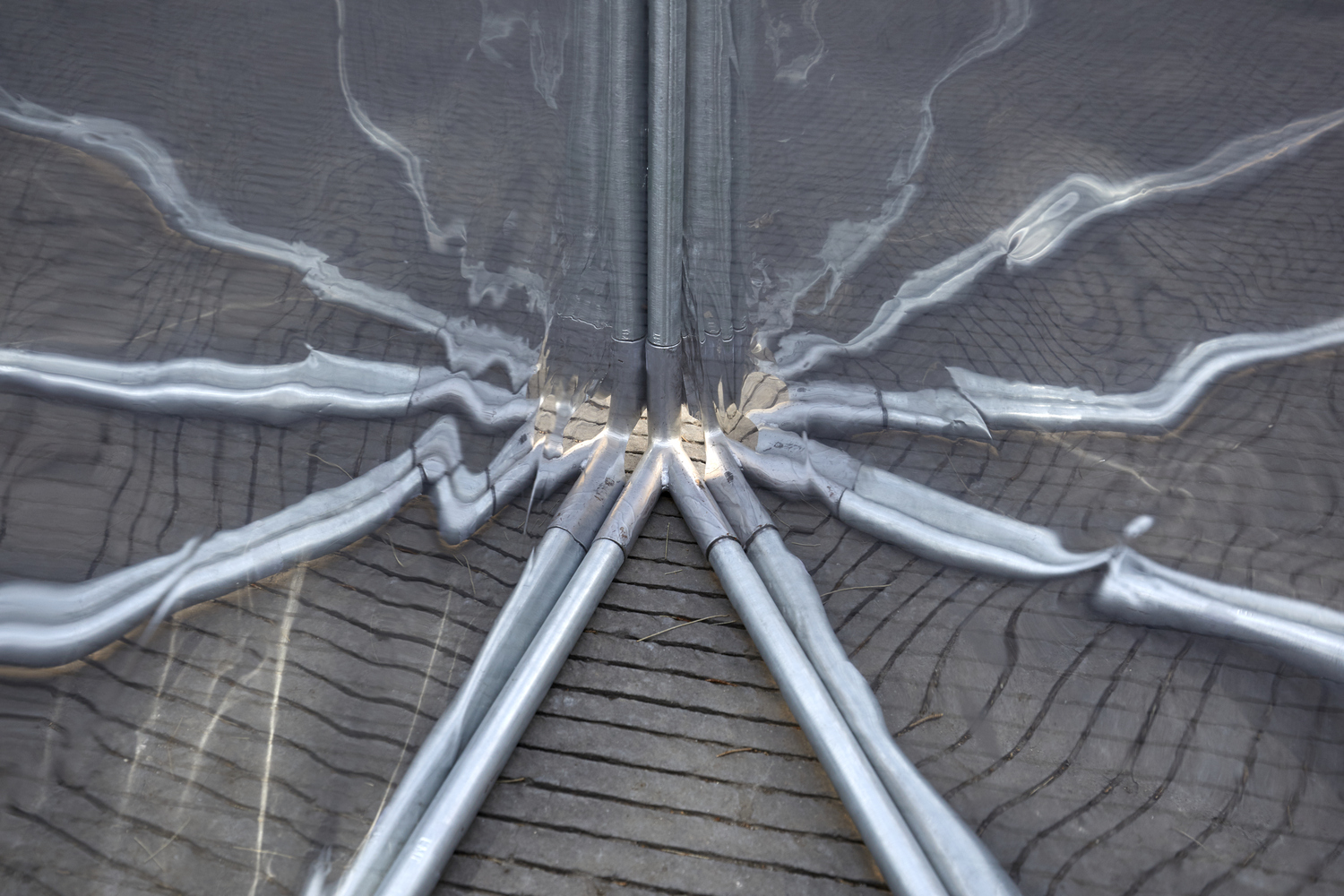 墨西哥光环装置丨Zeller＆Moye-12