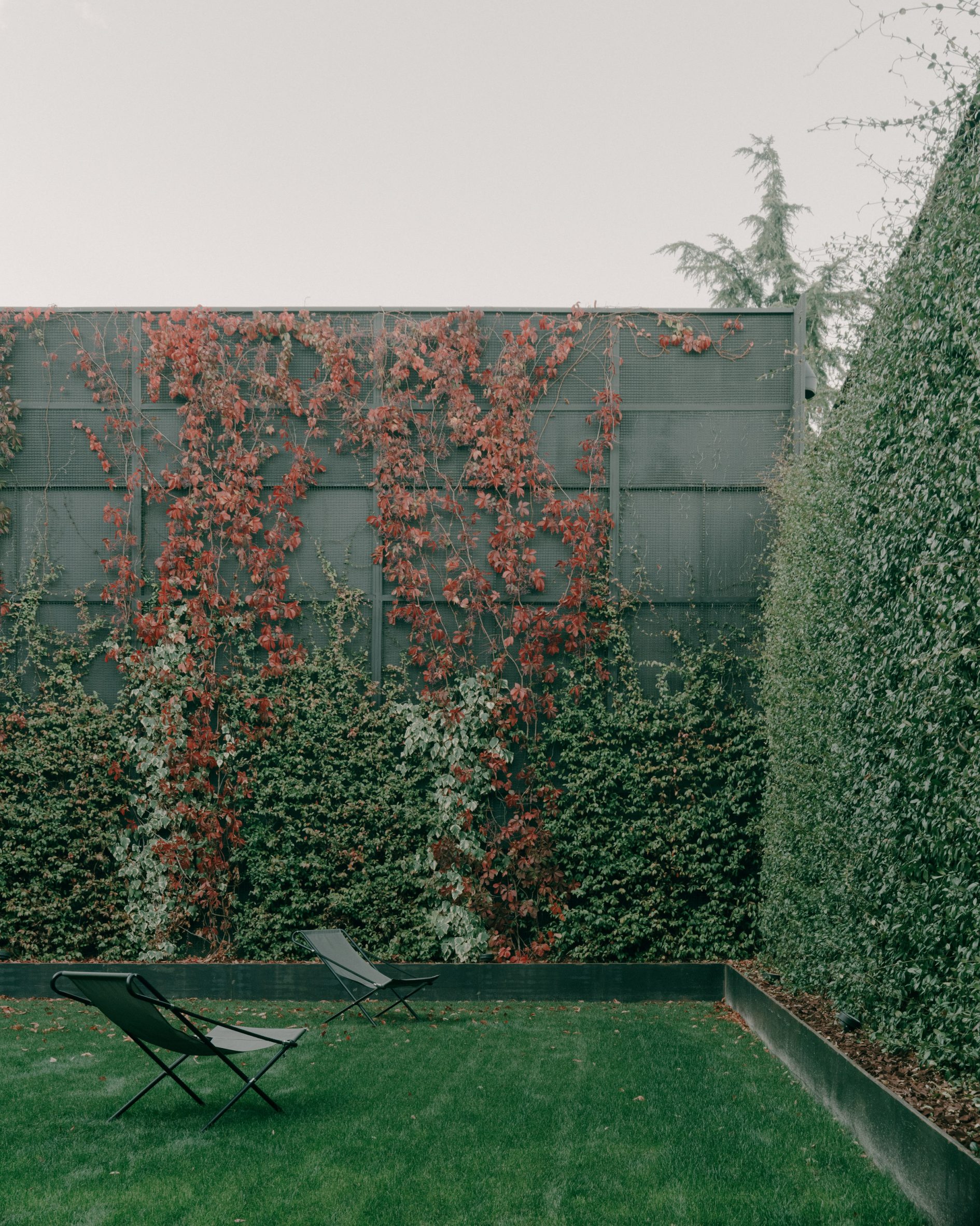 铁门之屋丨Georgian studio TIMM Architecture-22