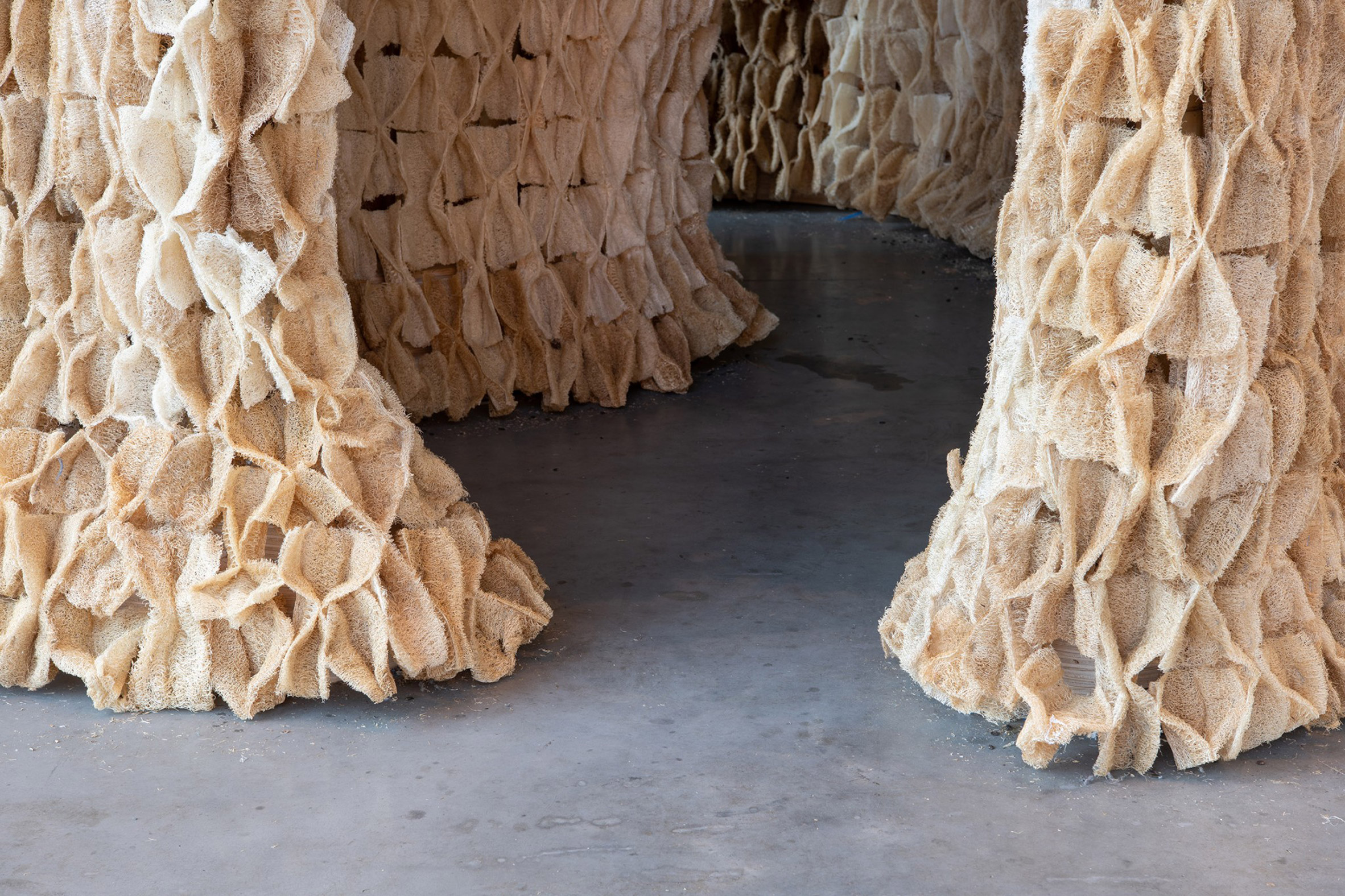 活力共生 | 生物材料塑造未来城市空间-7