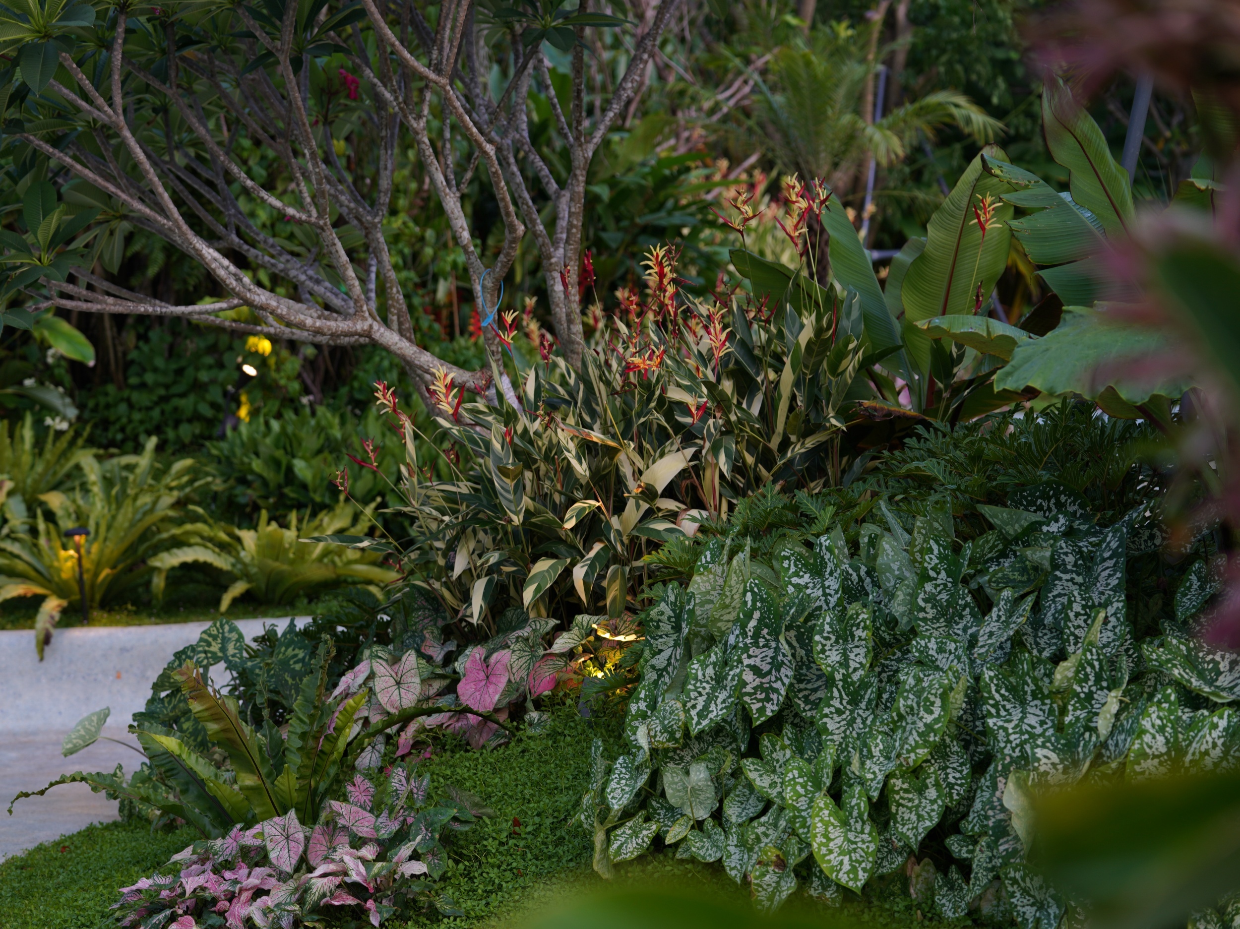 三亚海棠河生态公园（二期）·热带奇趣园丨中国三亚丨LOLA Landscape Architects B.V.-38