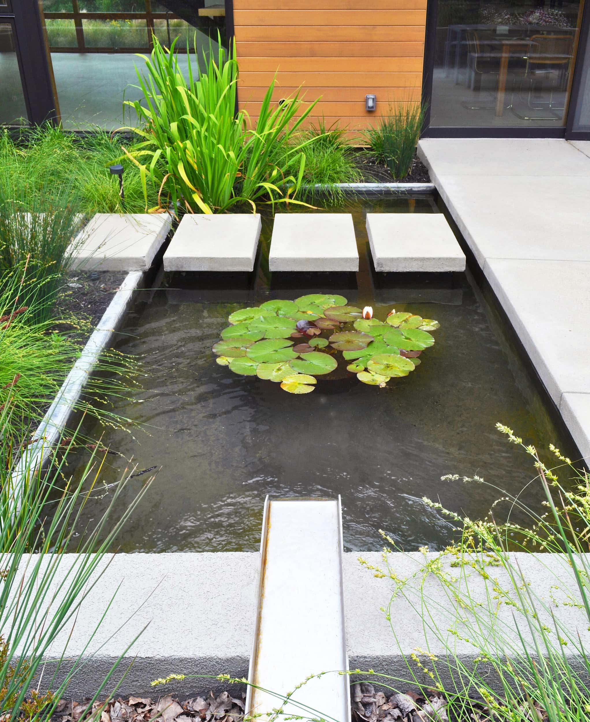 Sunol住宅景观设计丨美国-11