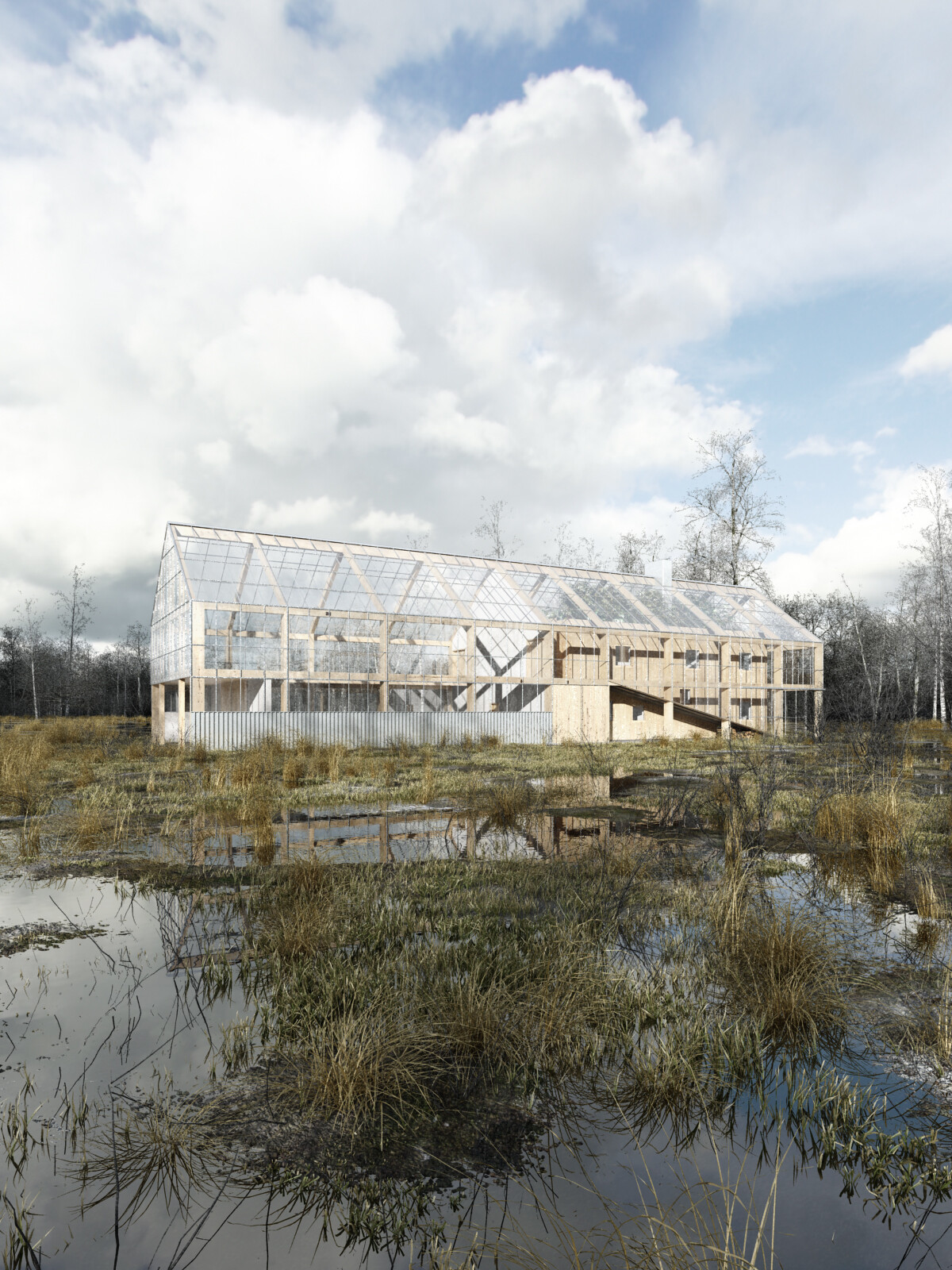 波兰绿意盎然的光之农场-8