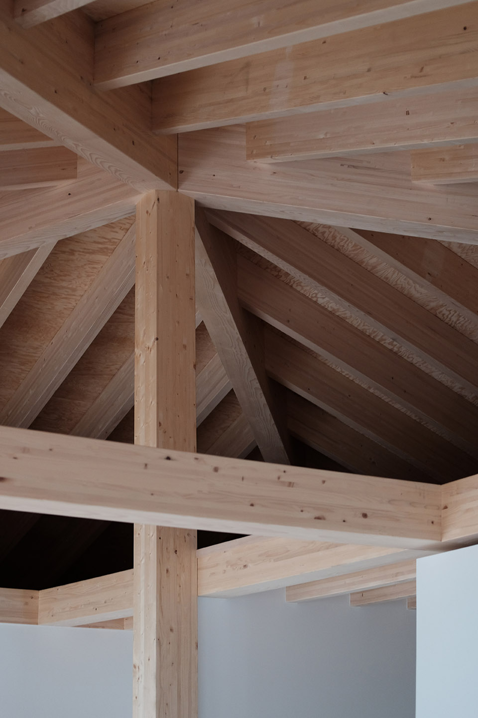 有金字塔屋顶的住宅，瑞士 / Charly Jolliet Architecte-41