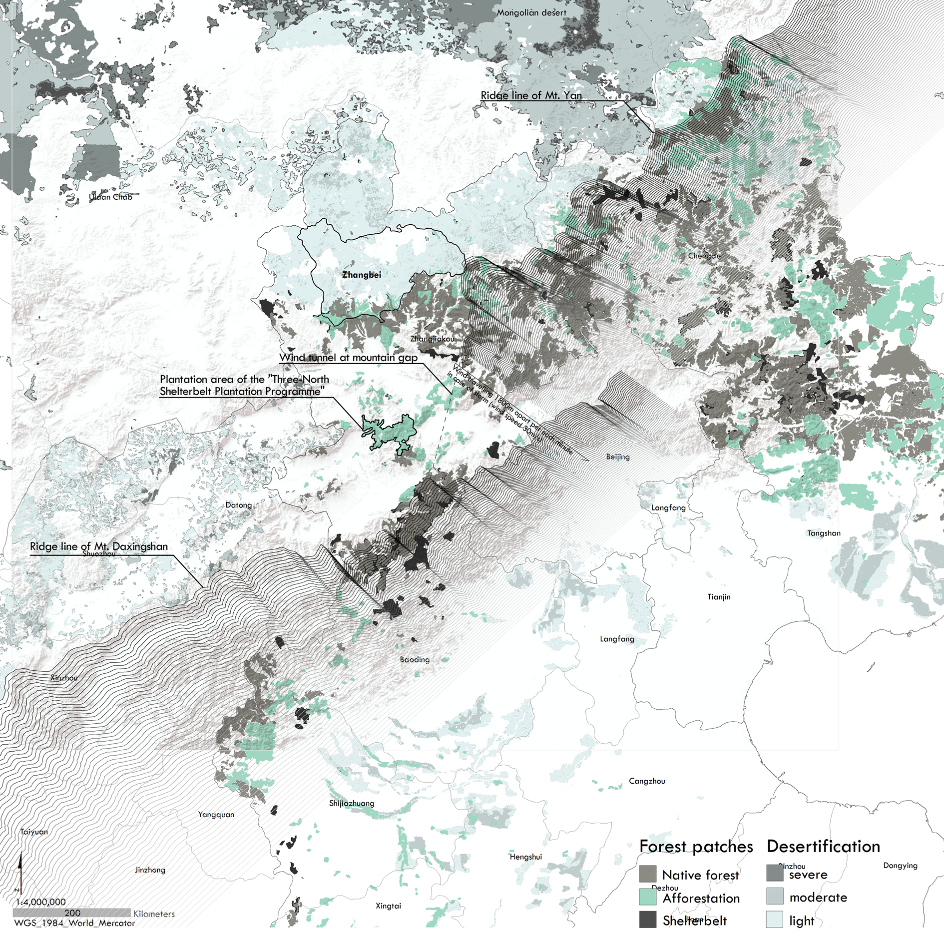 Debate on the 'Green': Shelterbelt Plantation-7