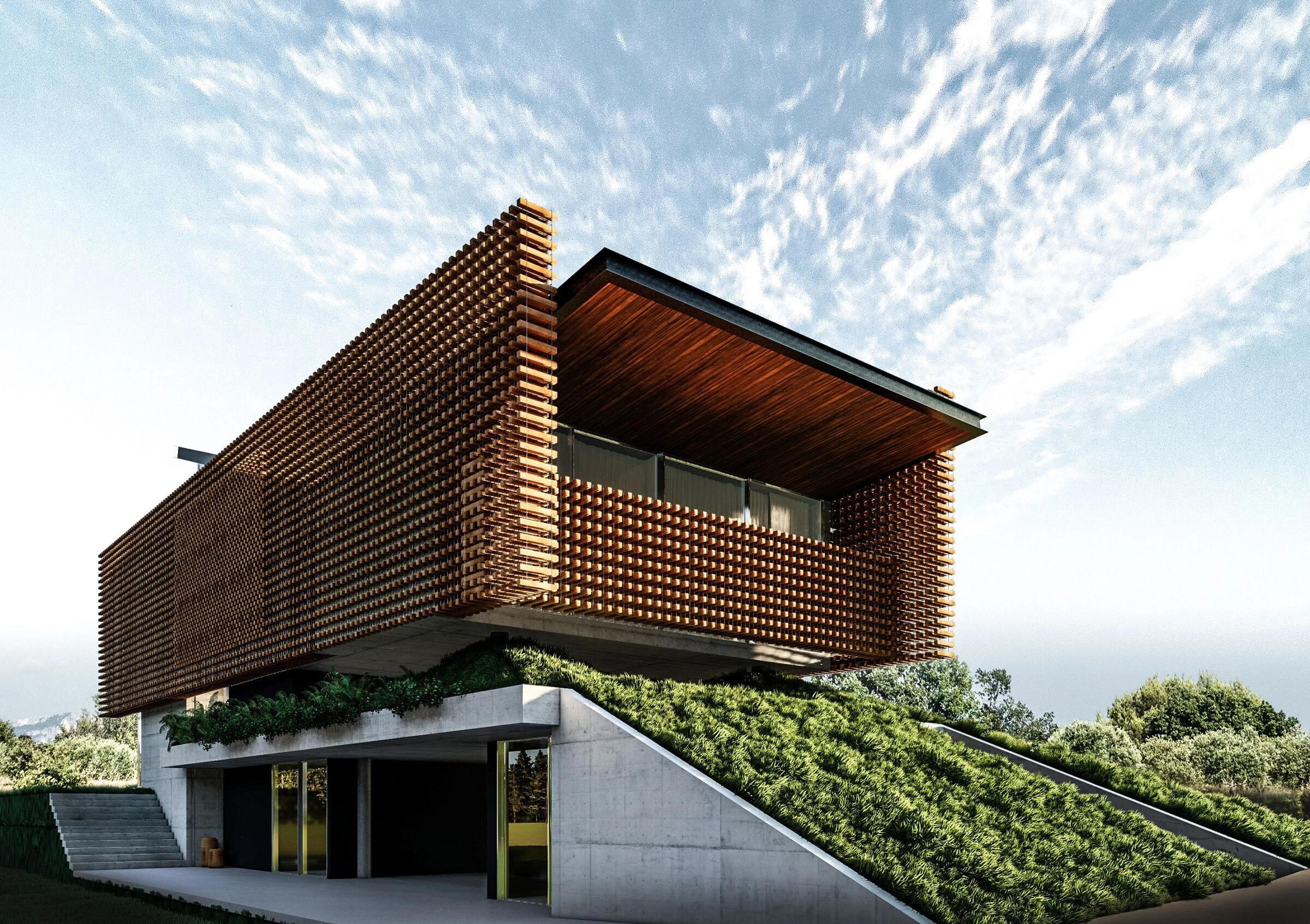 巴西 Aerada House丨巴西圣保罗丨Tetro Arquitetura e Engenharia-10