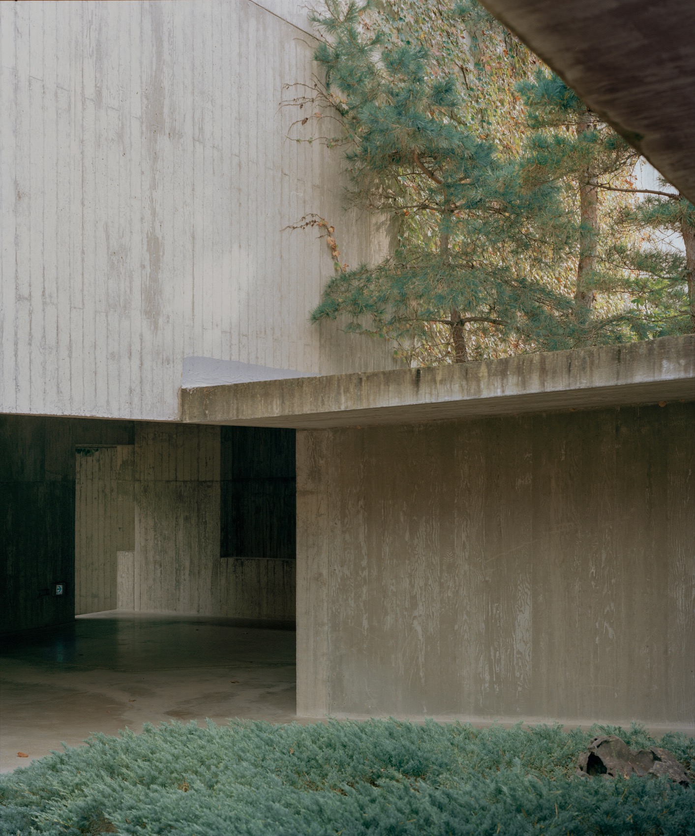 Bugye植物园“Sayuwon”·鸟之修道院丨韩国丨Iroje-30