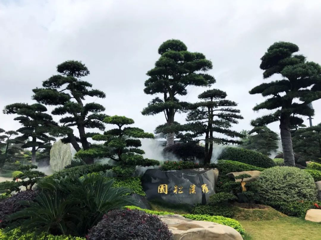 南宁罗汉松园 | 写意山水与天人合一的现代园林-124