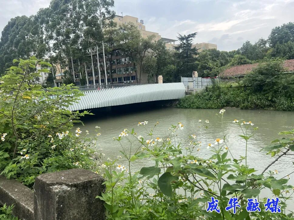 成都首条“地质科普+自然野趣”智慧绿道，开建！-29