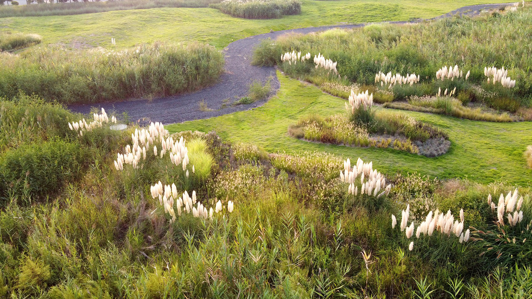 多岛海野草公园丨中国日照丨孔祥伟工作室-7