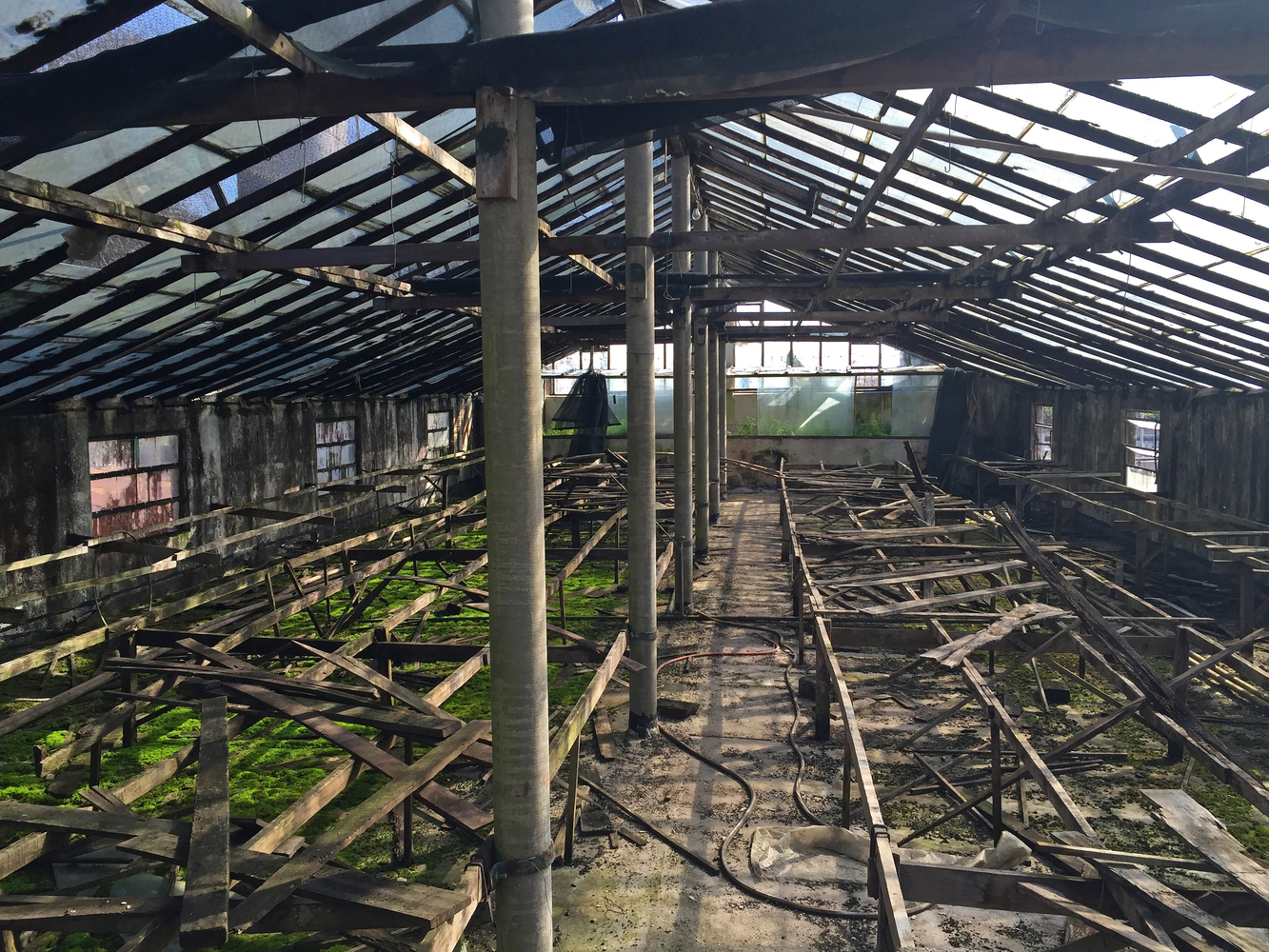 阿根廷绿舍共享办公空间-30