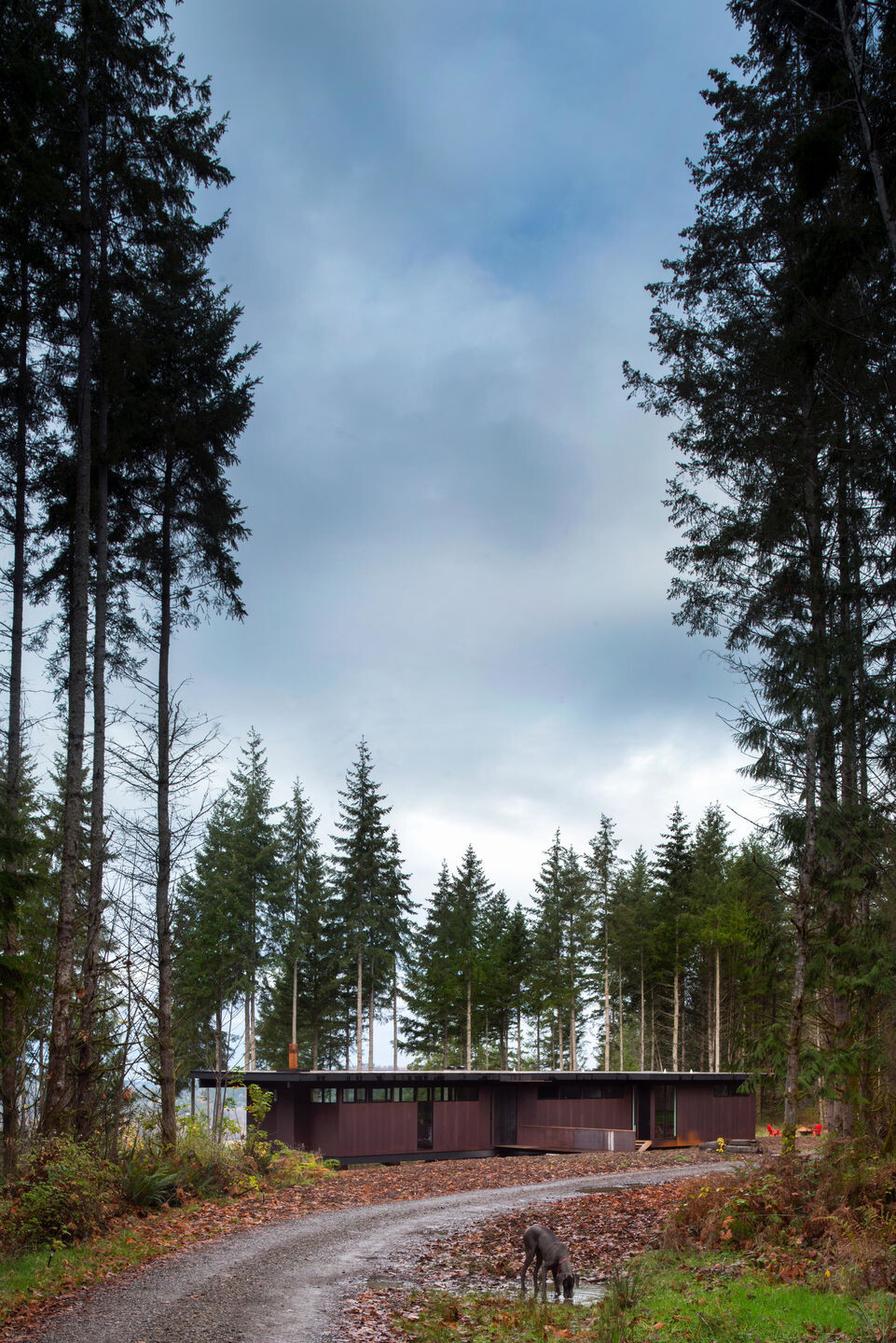 森林中的悬浮之家——Olson Kundig 设计-25