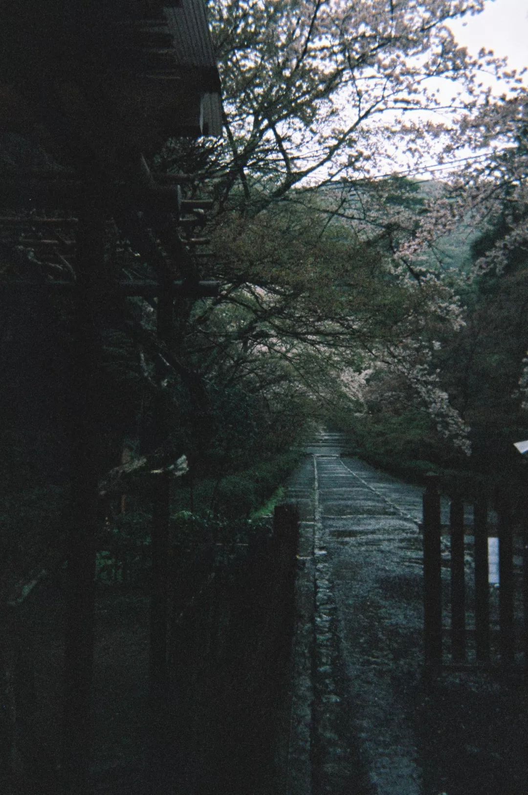 京都禅意漫步 | 私人庭园与古刹的宁静时光-0