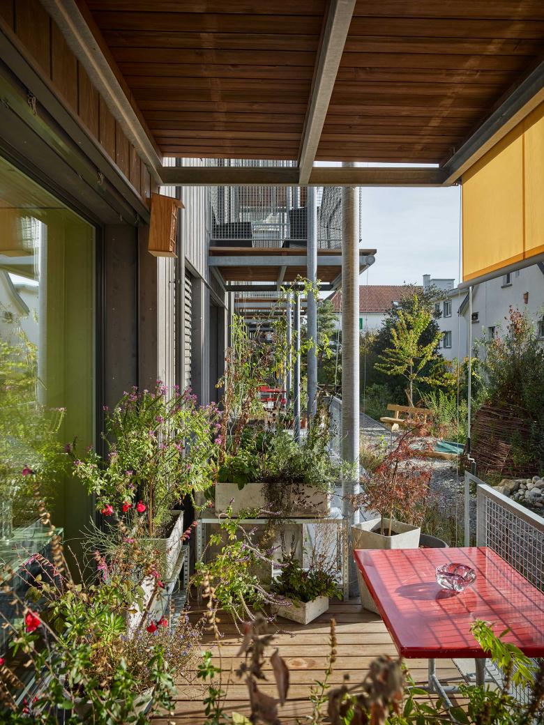 新建气候住宅丨瑞士丨Bürgi Schärer Architekten AG-14