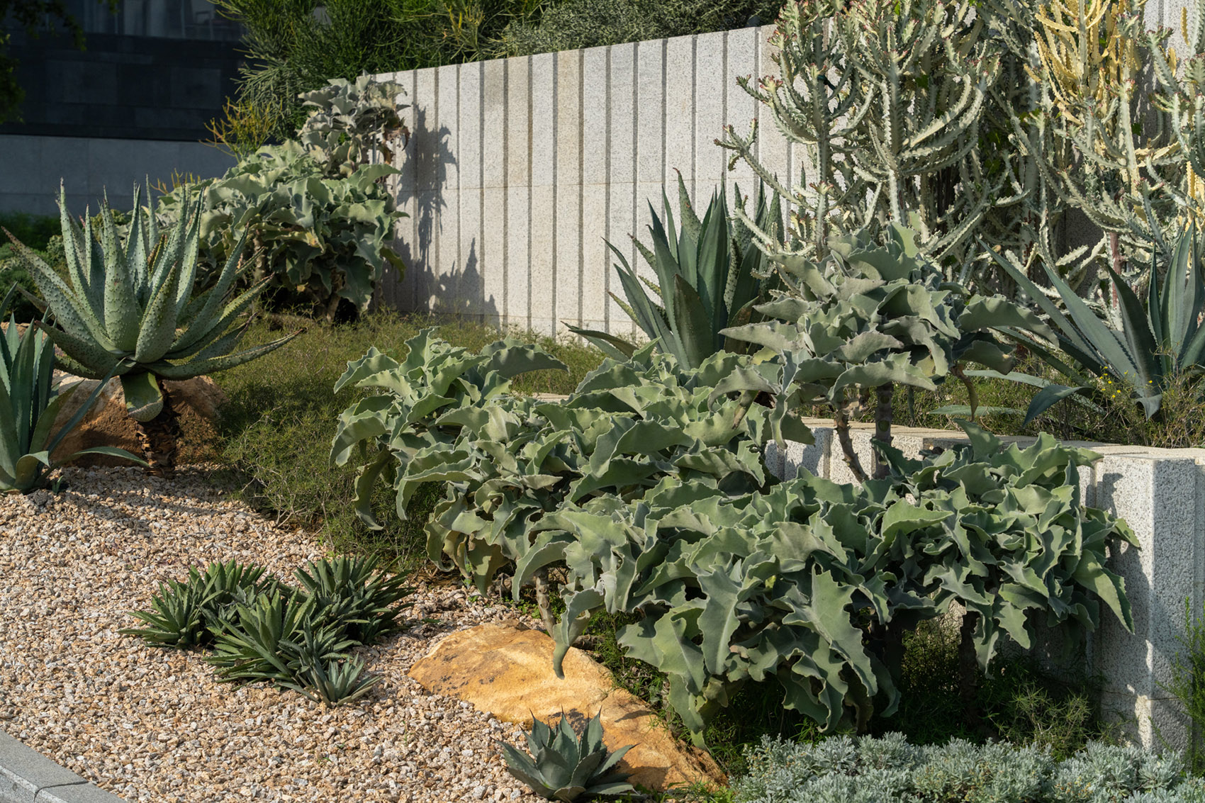 阿那亚·三亚三期丨中国三亚丨Line+-87