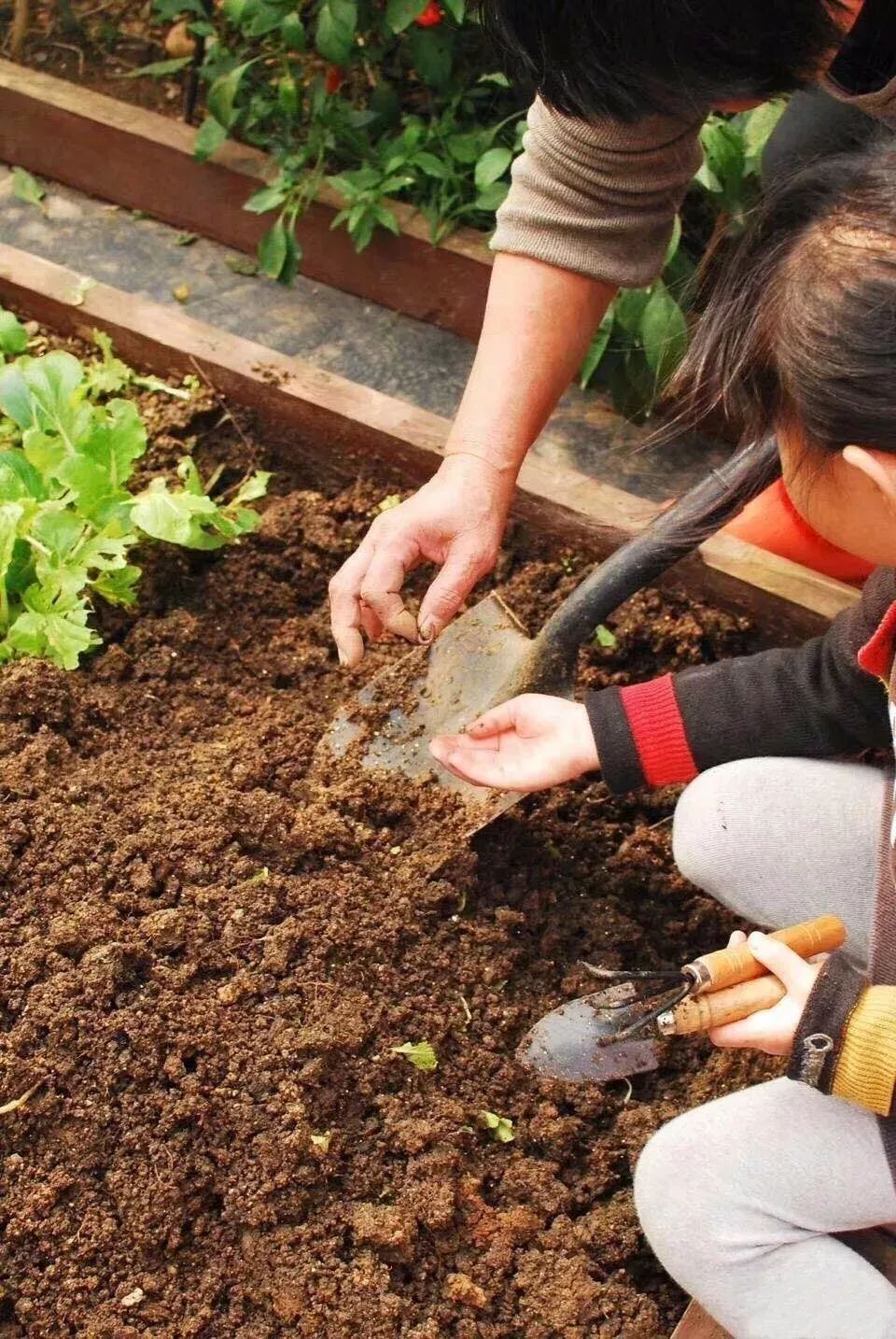 她在楼顶悄悄建了一座梦想花园，美翻了！这才是把日子过成诗的样子-97