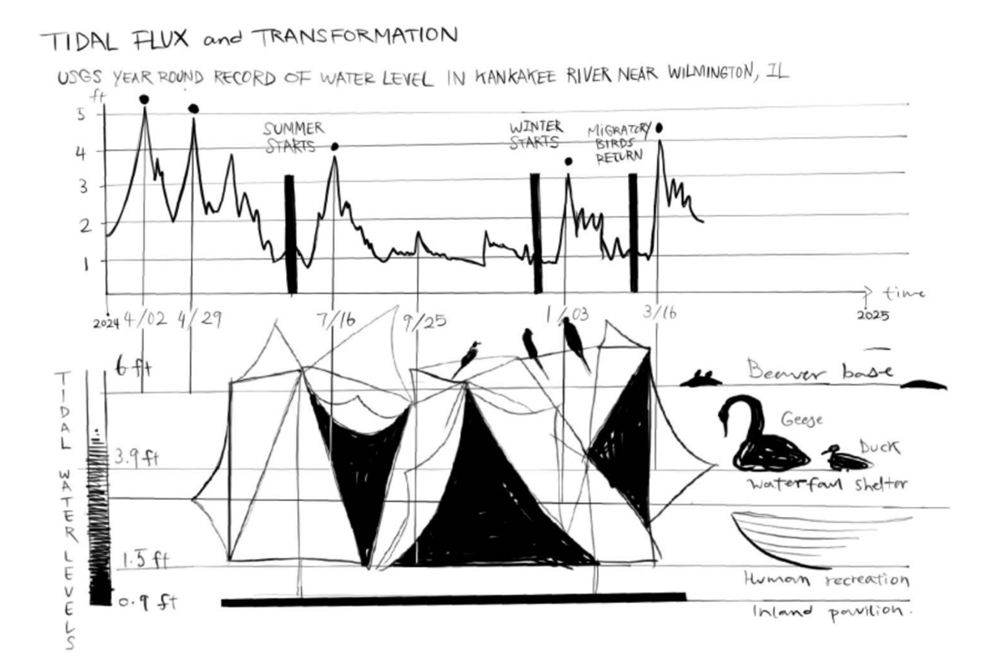 UIUC建筑大一惊艳课设！“几何动词+动态响应”打造共生建筑装置！-96