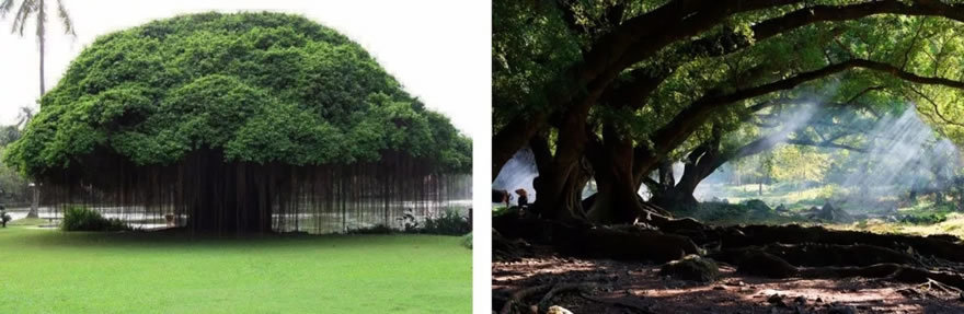 福建美术馆概念性方案设计-22