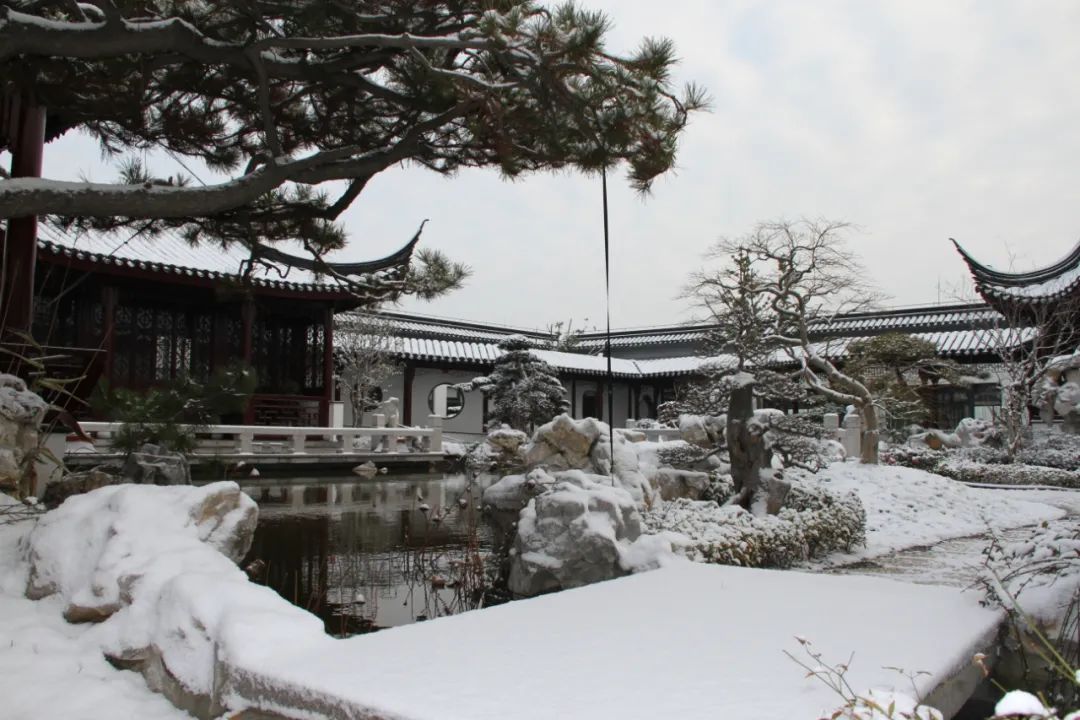 雪中皇家园林与私家园林的惊艳之美丨中国北京丨苏州裕成园林-6