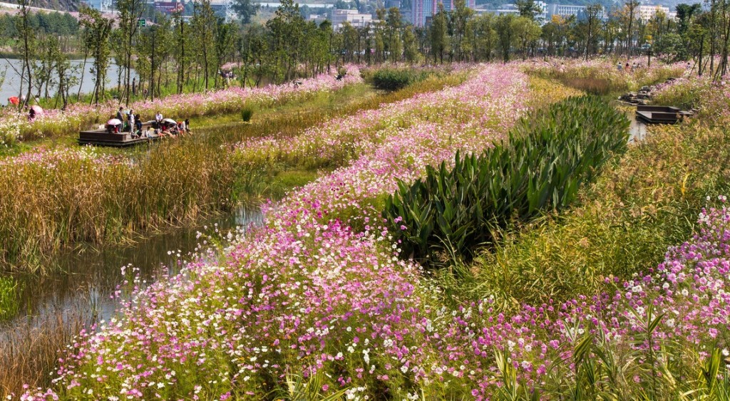 中国六盘水水城河相关生态保护项目-14