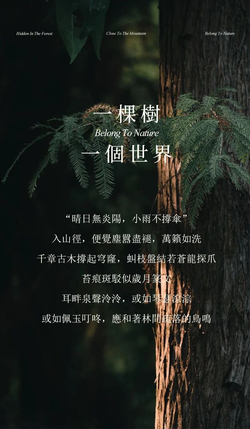 天目山树华酒店·希尔顿格芮精选丨中国杭州丨大象建筑设计有限公司(建筑,景观)-4