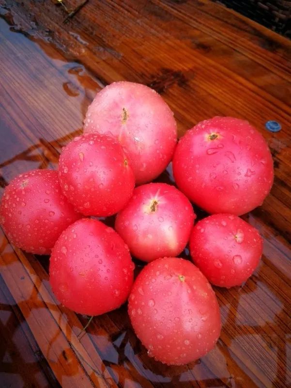 不惑之年,他自己动手建了一座楼顶花园,养花种菜喂鱼……-152