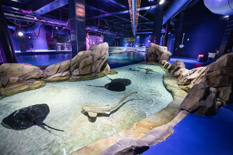 Georgia Aquarium Expansion, Atlanta, GA | Oculus Light Studio-6