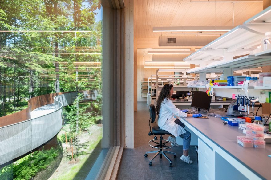 Adimab研究大楼丨黎巴嫩-23