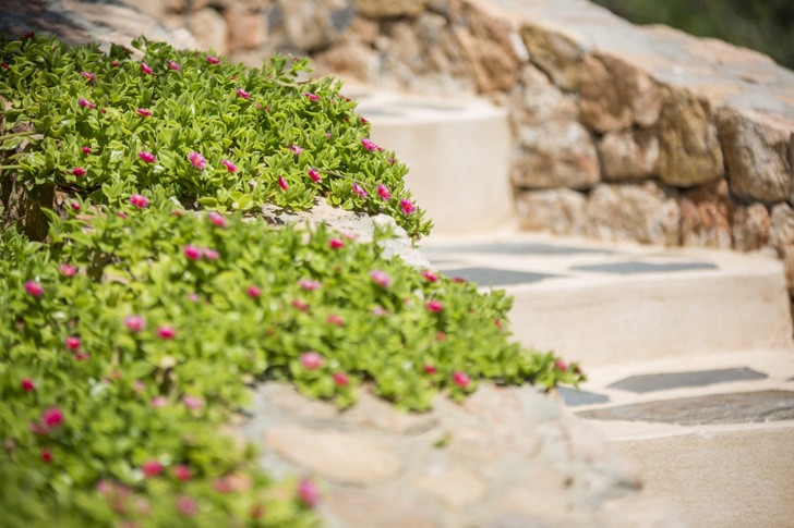 亚特兰蒂斯别墅之家-16