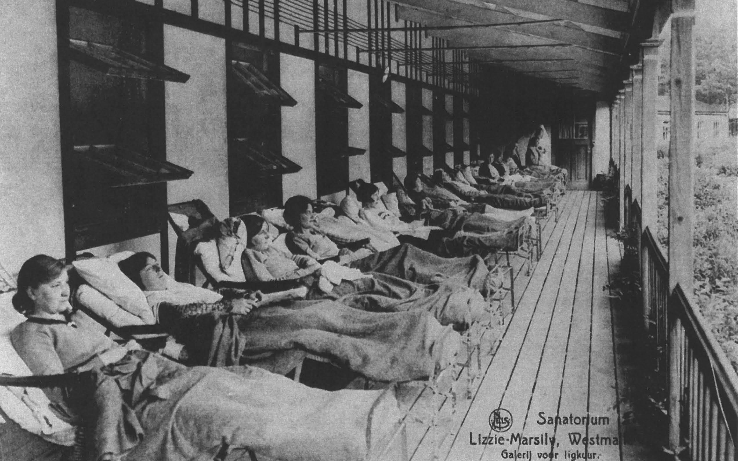 De Dennen /  AIDarchitecten-14