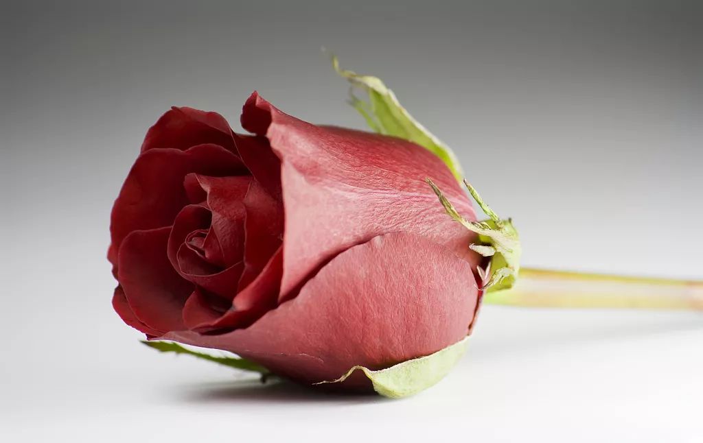 小户型设计 | 简约自然,五脏俱全-0