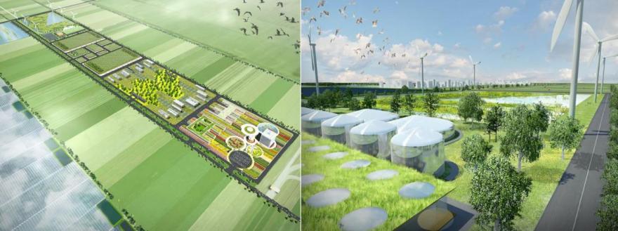 ‘Dutch – Valley’(荷兰谷)丨中国天津-15