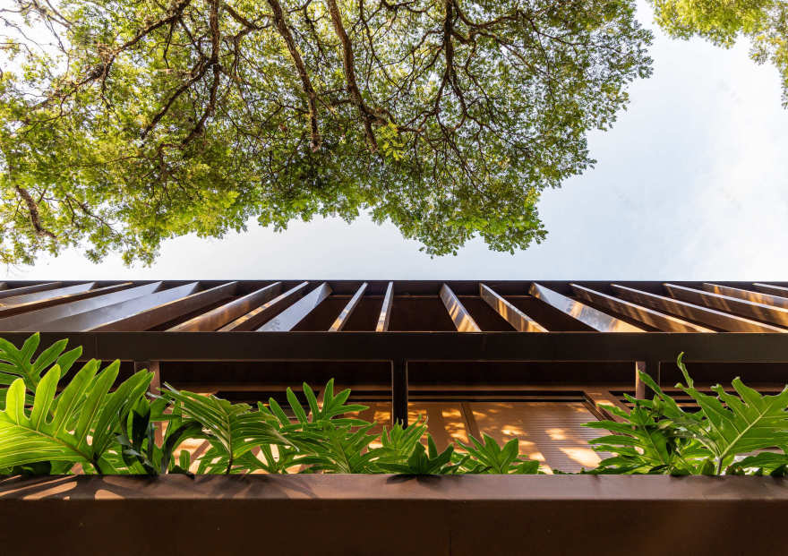 JCD别墅丨巴西圣保罗丨Ximenes Leite Arquitetura-40