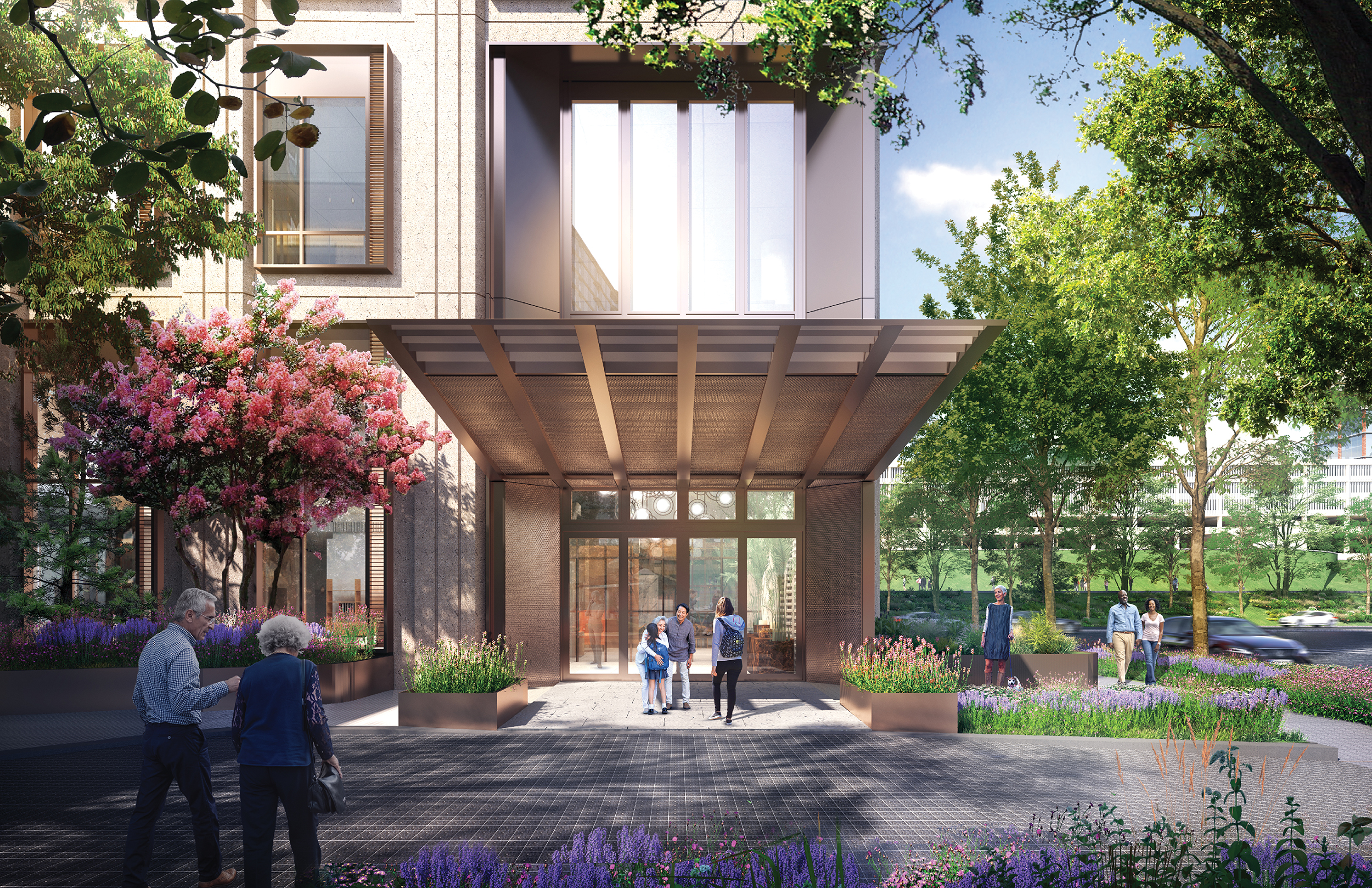 塔斯曼老年住房丨Steinberg Hart-11