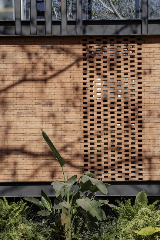 Casa Mao · 墨西哥 Colima 的时尚现代绿洲丨Di Frenna Arquitectos-19