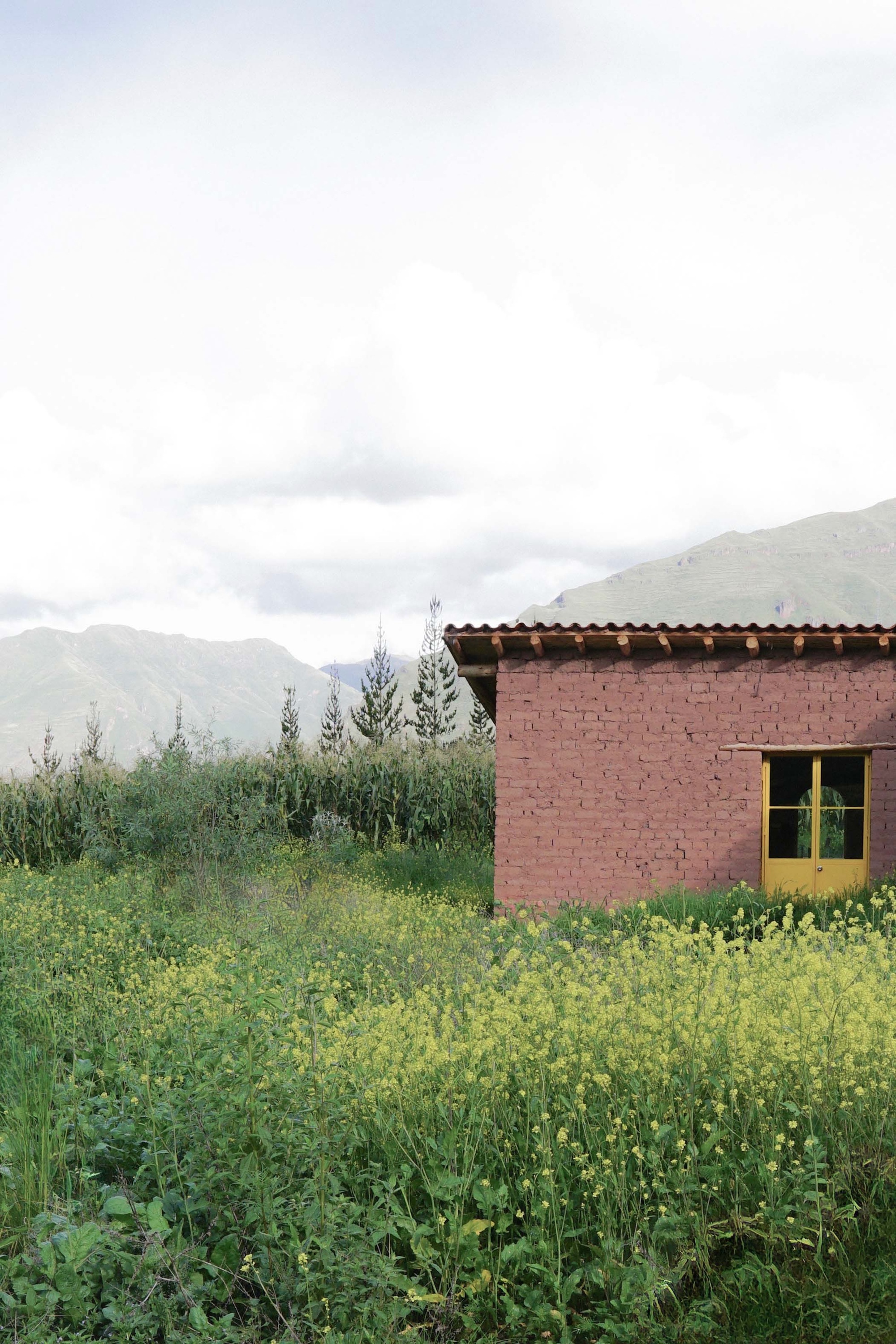 丨秘鲁丨Taller MACAA-41