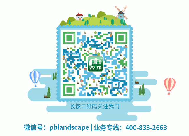 沉浸式森林度假新体验|清远长隆森林温泉乐园-45