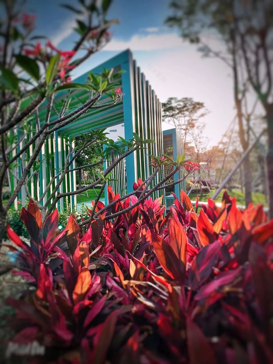 深圳龙华绿廊公园三期丨中国深圳-127