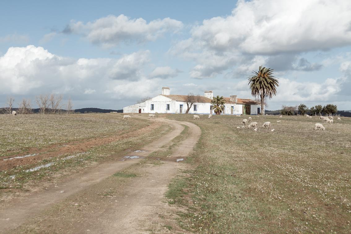 葡萄牙 Azaruja 村旅游项目 · Monte da Azarujinha-69