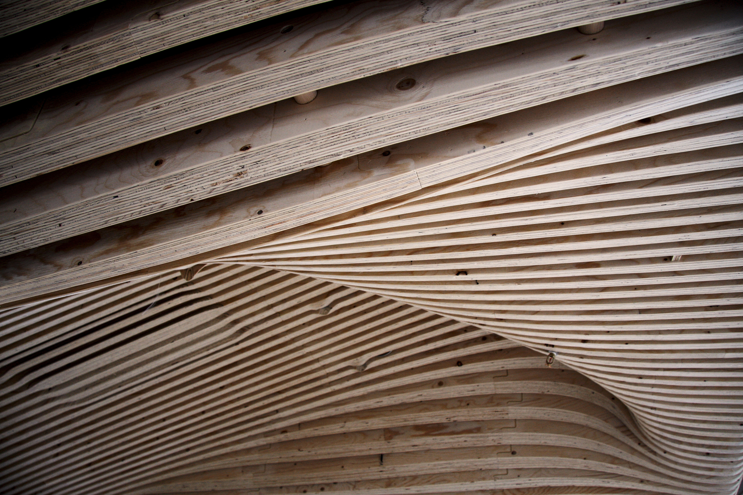 一个主要办公室翻新丨美国丨dECOi Architects-61