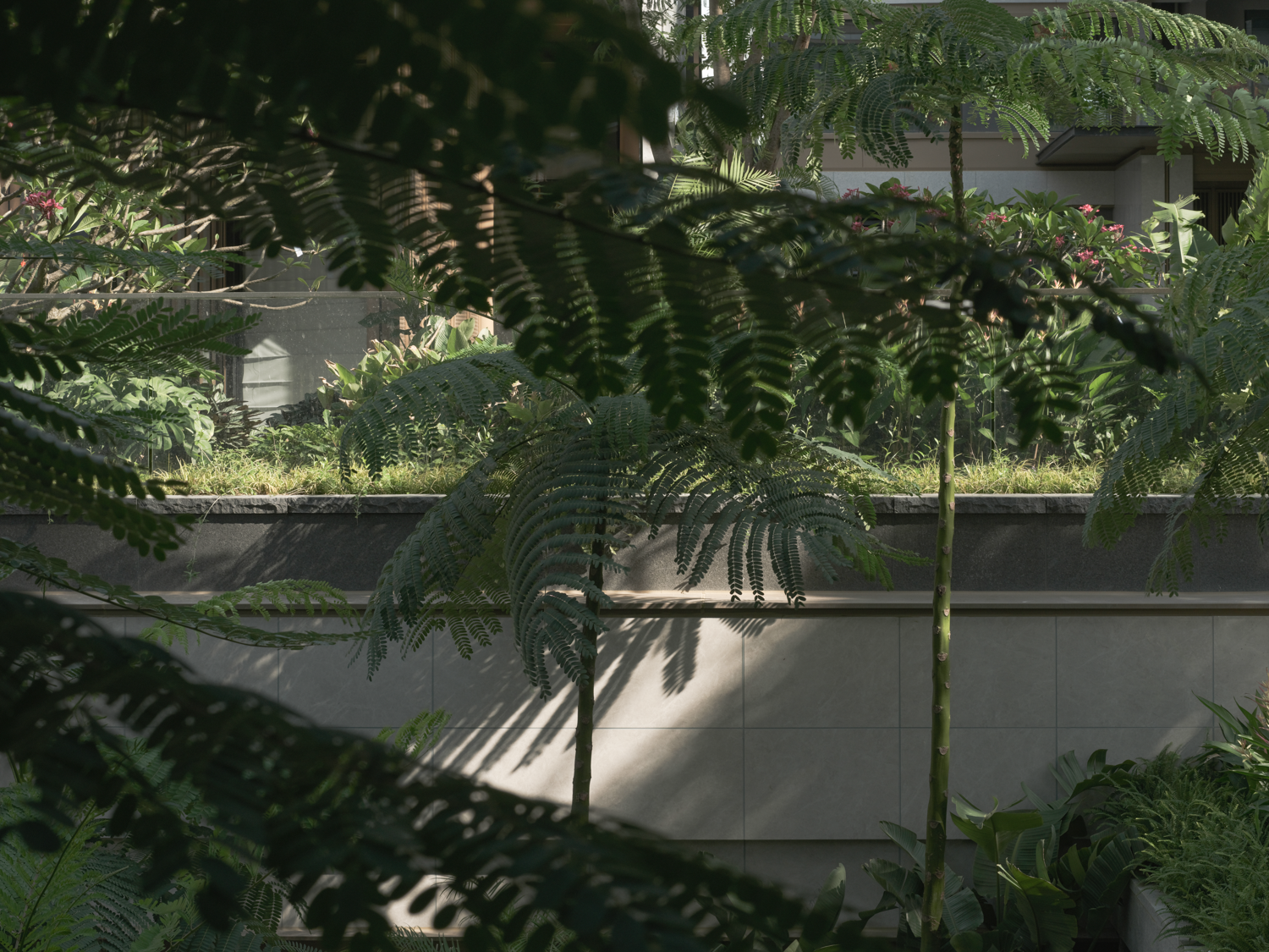 绿城·万宁海语春风丨中国万宁丨杭州九沐景观设计有限公司-56