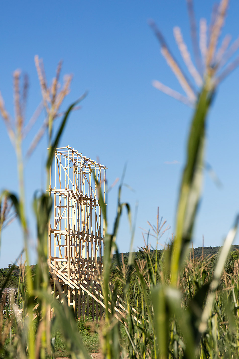 木构村落，匈牙利 / Hello Wood-24