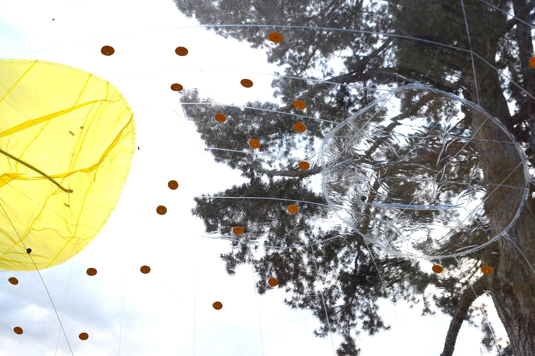 东伦敦的黄色大泡泡 / Dosis-26