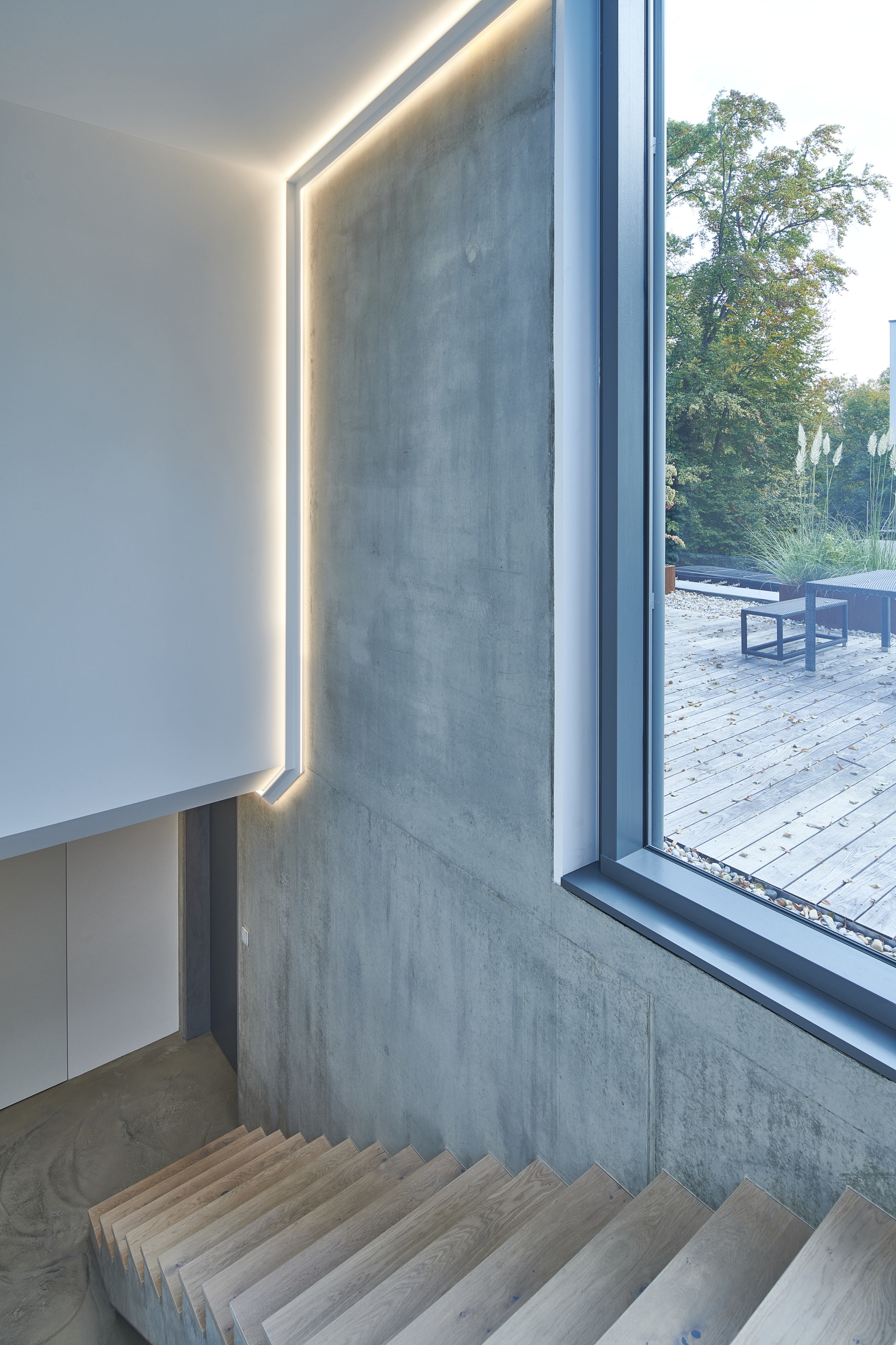 城堡山下的住宅与古橡树共生-15