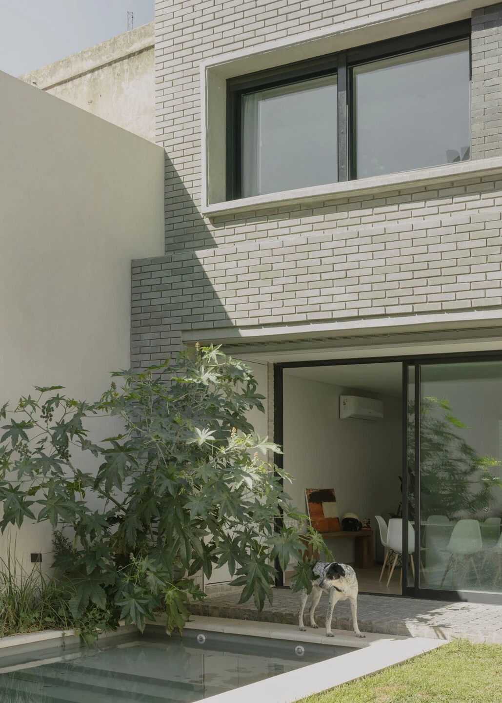 隐蔽的房子 / 隐藏的屋子丨阿根廷罗萨里奥丨Estudio STGO-46