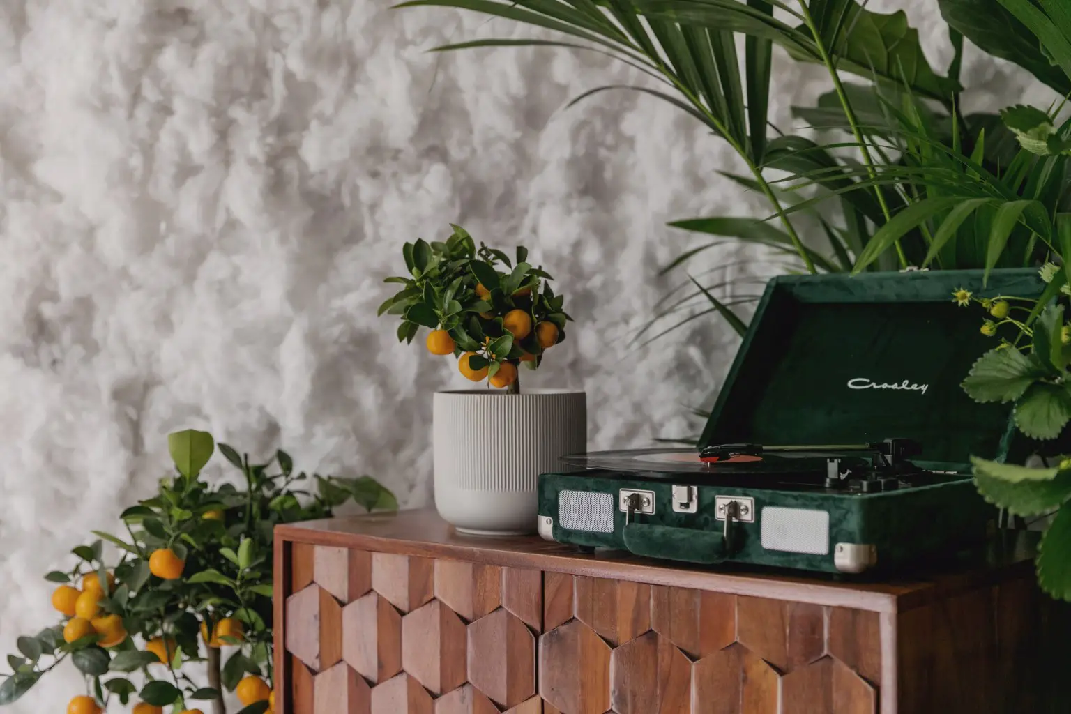 伦敦独特绿植设计公寓-6