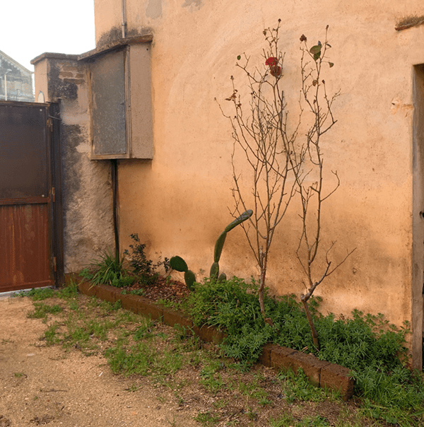 Cassà de la Selva室外空间改造与建设项目-11