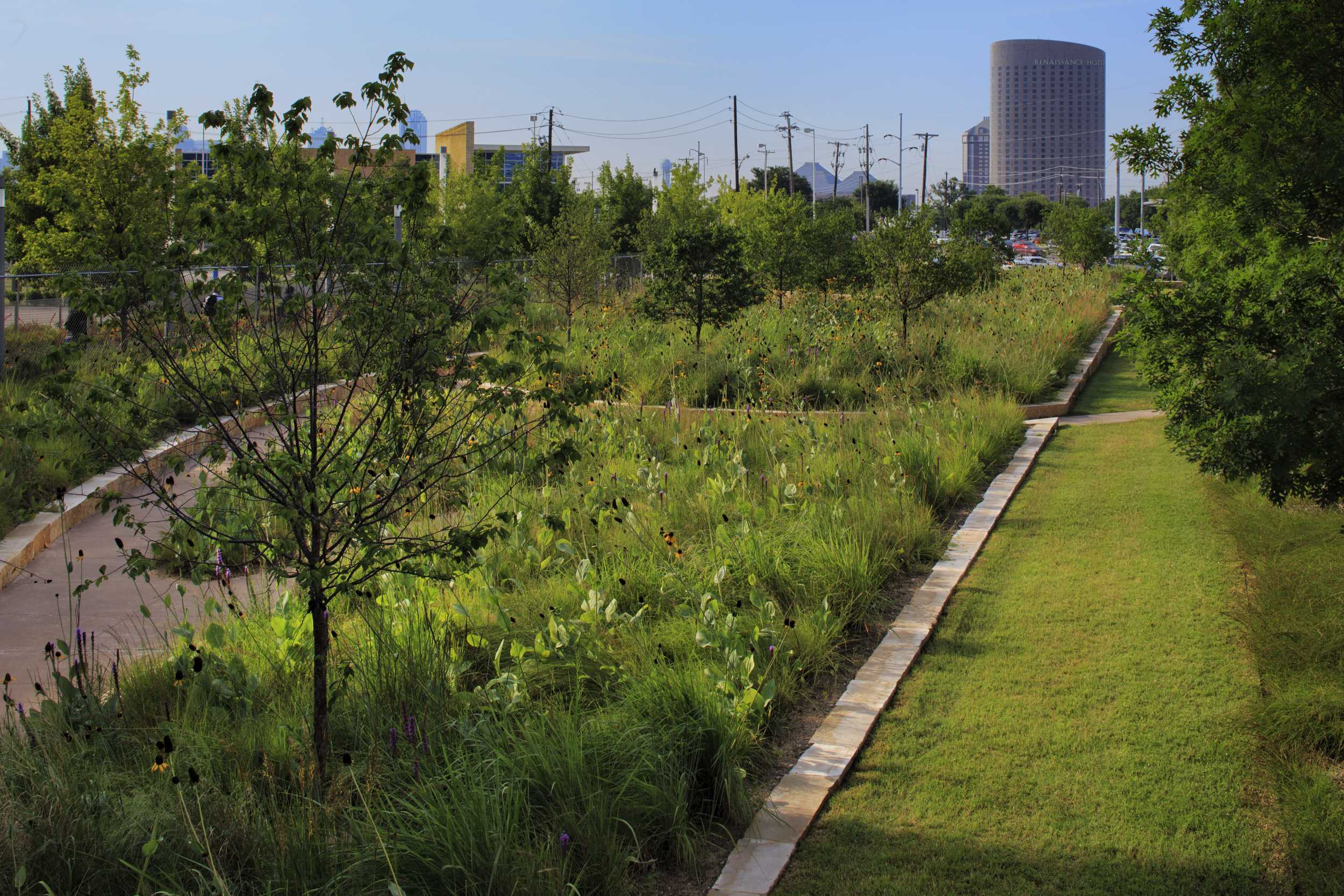 美国新帕克兰医院修复性景观-10