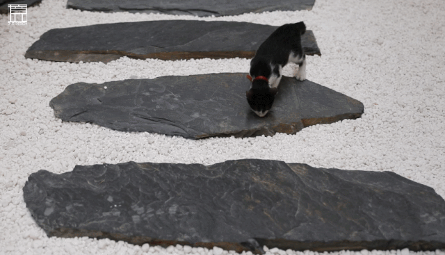 一境建筑设计丨深圳 一境建筑设计工作室 室内设计 丨中国深圳-17