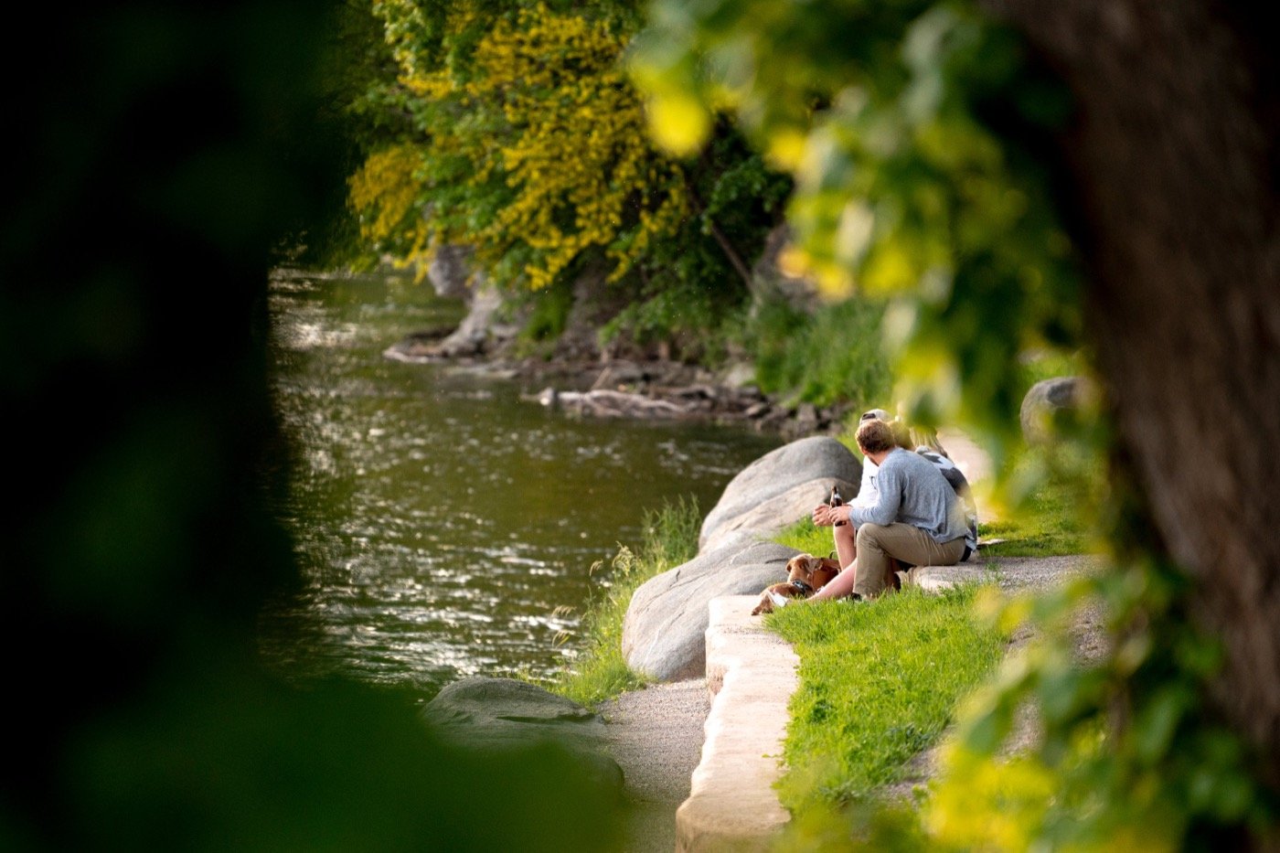 智利“陶本洛赫”公园-19